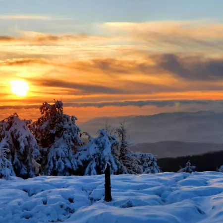 Апартаменты Studio