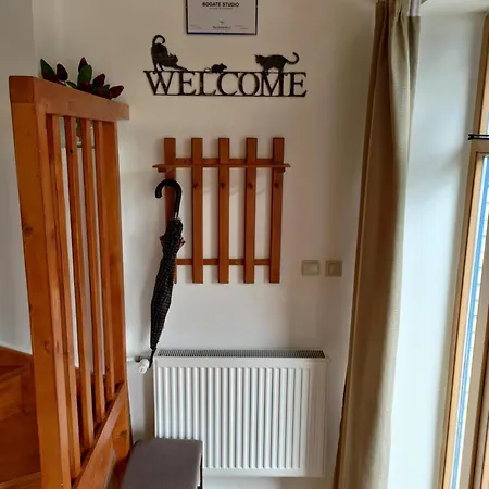 Апартаменты Studio *