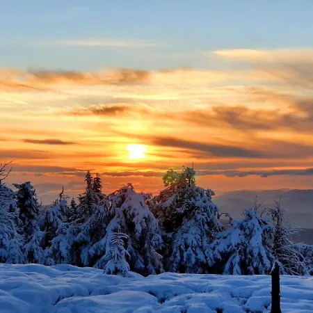 Апартаменты Studio