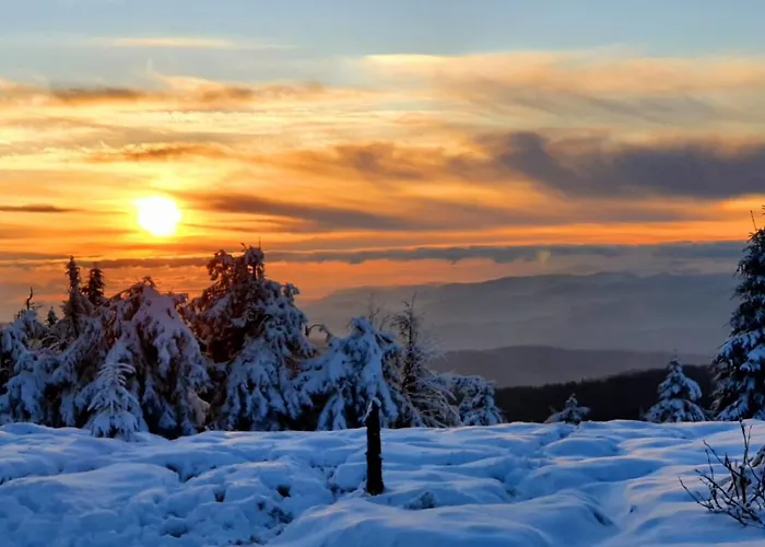 Апартаменты Studio